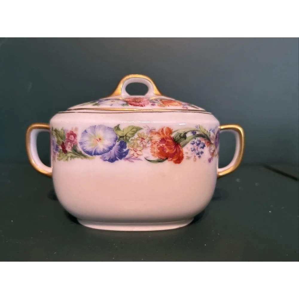 Vintage‎ 1930s Epiag Aich Czechoslovakia Floral Rare Pattern Creamer and Sugar